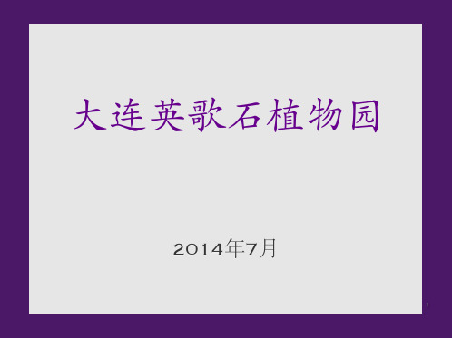 大连英歌石植物园
