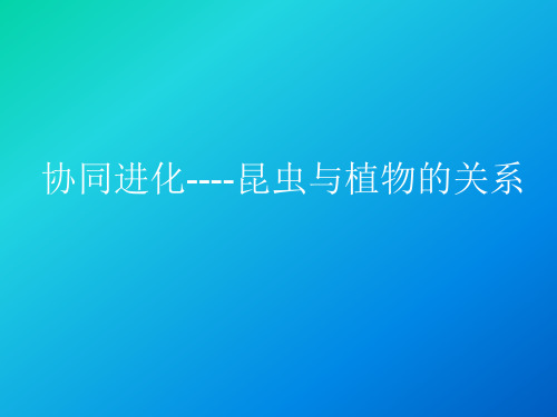 协同进化——昆虫与植物的关系
