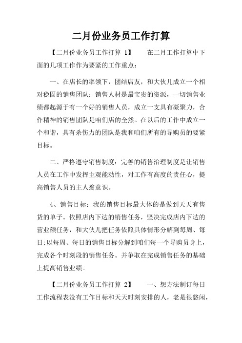 二月份业务员工作打算