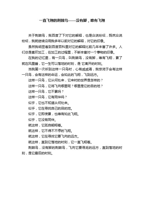 一直飞翔的荆棘鸟——没有脚，唯有飞翔
