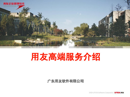 用友高端服务介绍