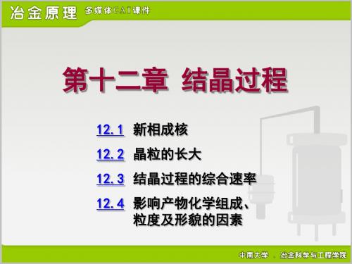 结晶动力学PPT(论文专用).