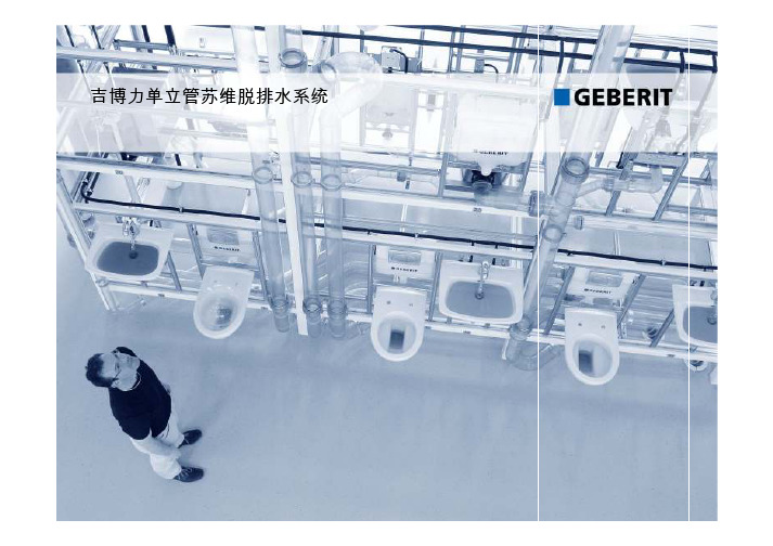 特殊单立管 苏维托系统