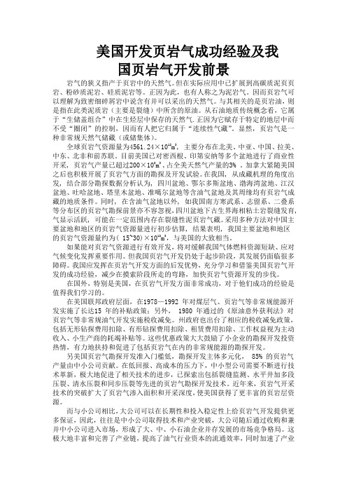 美国开发页岩气成功经验及我   国页岩气开发前景