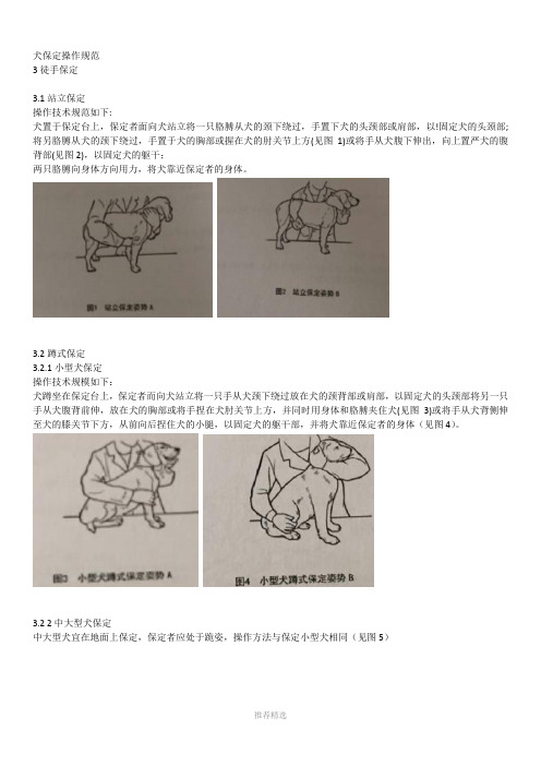 犬保定方法