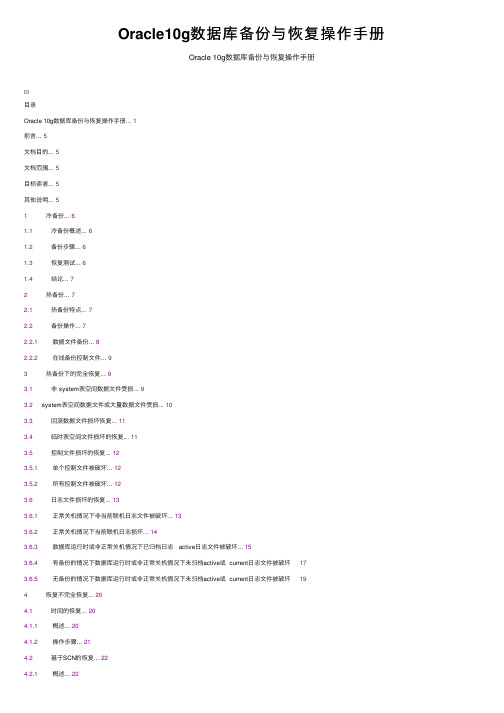 Oracle10g数据库备份与恢复操作手册