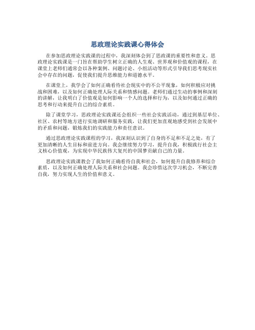 思政理论实践课心得体会