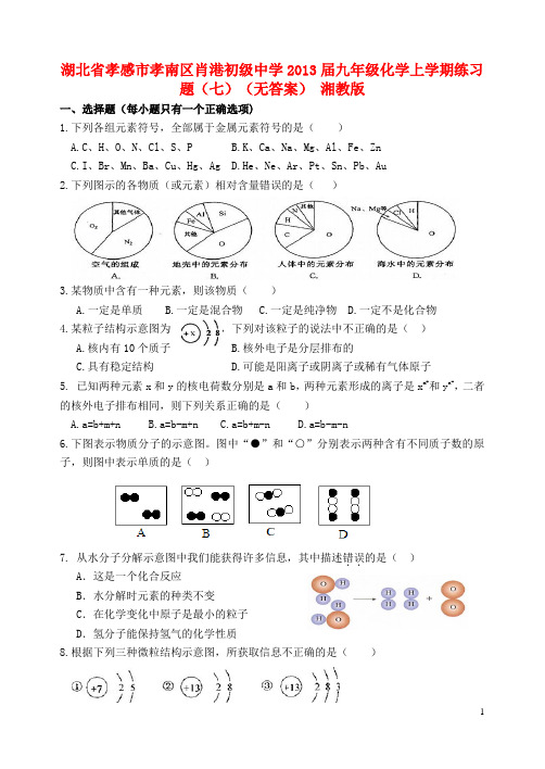 湖北省孝感市孝南区肖港初级中学九年级化学上学期练习题(七)(无答案) 湘教版