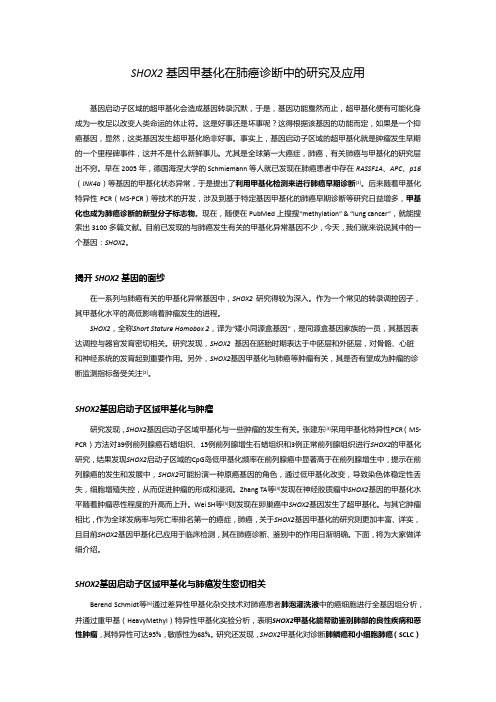 SHOX2基因甲基化在肺癌诊断中的研究及应用