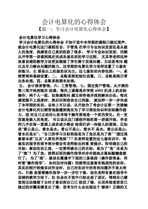 会计电算化的心得体会