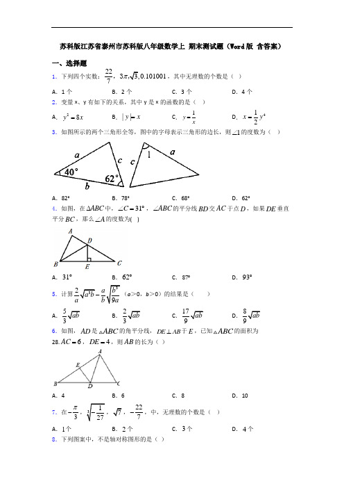 苏科版江苏省泰州市苏科版八年级数学上 期末测试题(Word版 含答案)