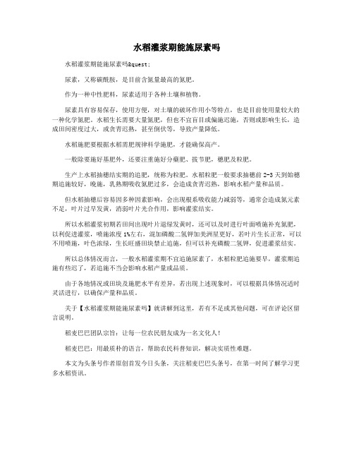 水稻灌浆期能施尿素吗