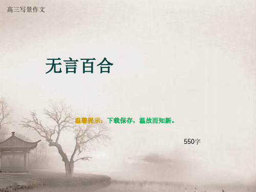 高三写景作文《无言百合》550字