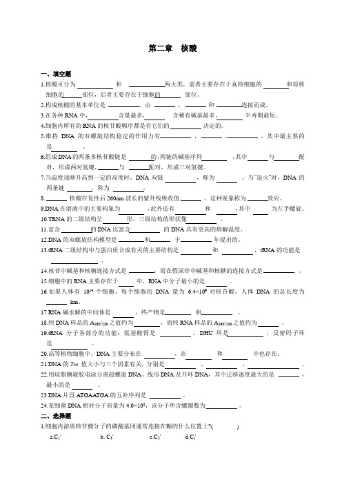 第二章 核酸