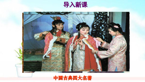 人教版2018-2019七年级历史下册第22时代特点鲜明的明清文化(二)ppt课件