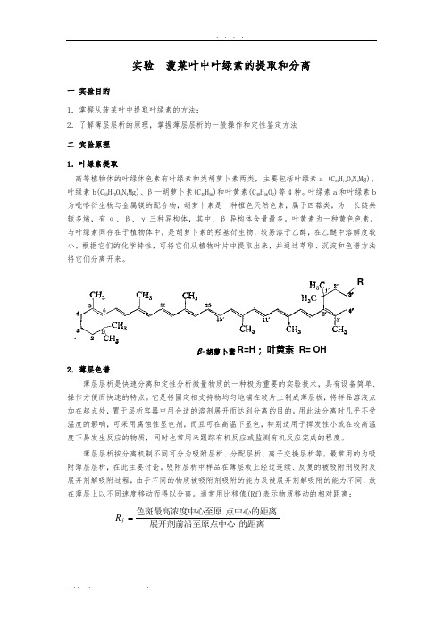 菠菜叶中叶绿素的提取和分离