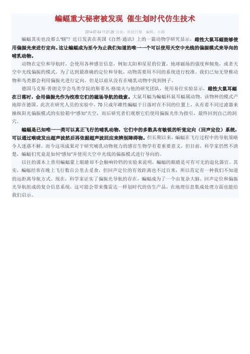 蝙蝠重大秘密被发现 催生划时代仿生技术