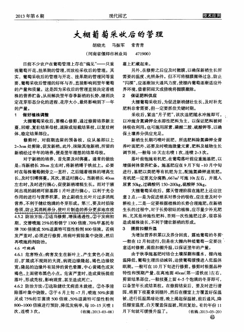大棚葡萄采收后的管理