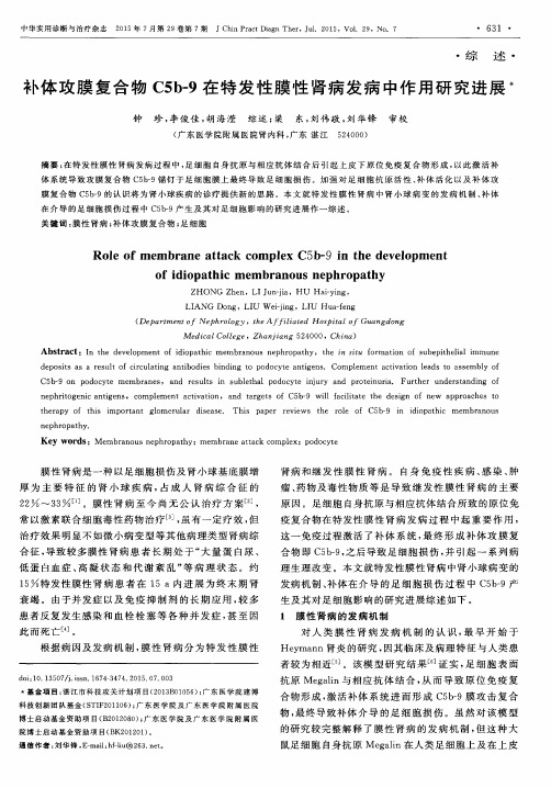补体攻膜复合物C5b-9在特发性膜性肾病发病中作用研究进展