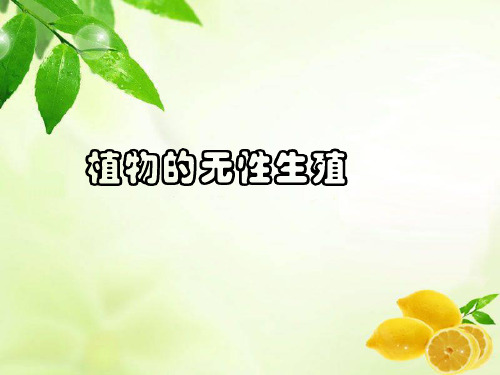 八年级生物下册教学课件-7.1.1植物的生殖2-人教版