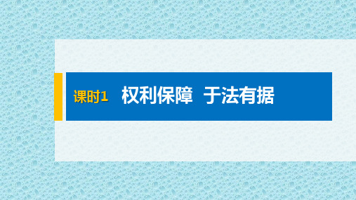 统编版政治选择性必修二第一单元 第四课 课时1 权利保障 于法有据