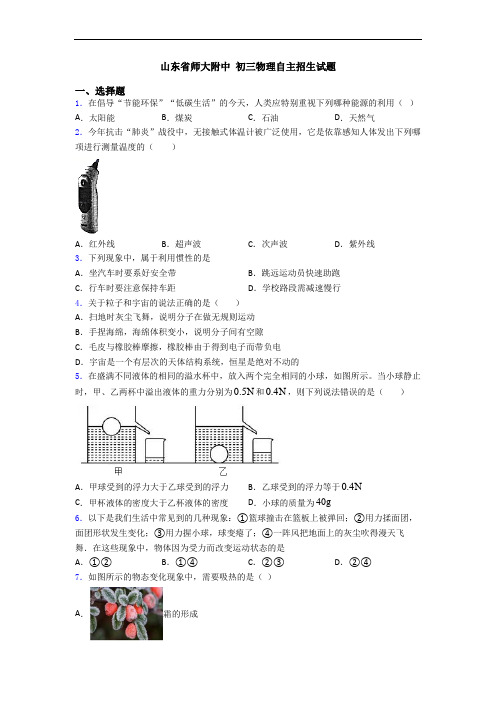 山东省师大附中 初三物理自主招生试题