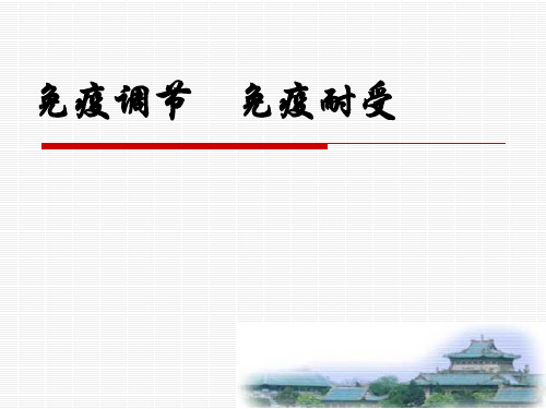 免疫调节、免疫耐受