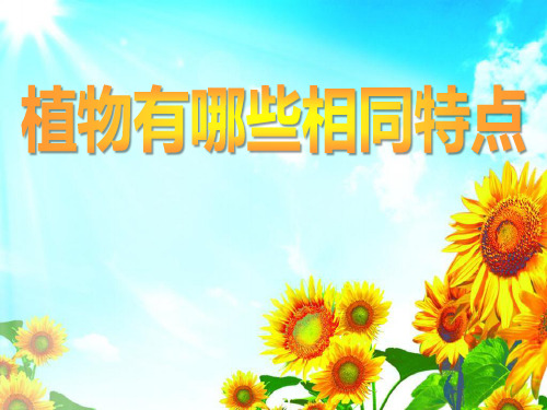 《植物有哪些相同点》植物2-教科版三年级科学上册PPT课件