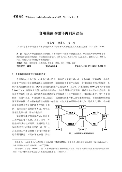 食用菌菌渣循环再利用途径