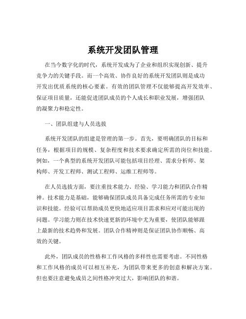 系统开发团队管理