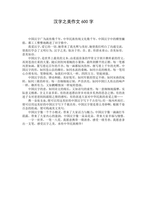 汉字之美作文600字