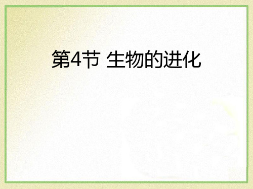浙教版九年级下册科学《生物的进化》说课教学课件