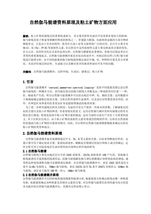 自然伽马能谱测井论文