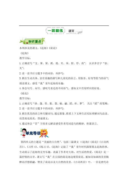 三年级下册语文复习学案-第八周《赶海》《荷花》辅导总结丨苏教版高清含答案