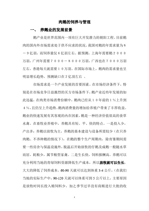 鹅的饲养技术