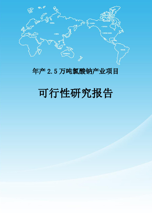年产2.5万吨氯酸钠产业项目可行性研究报告