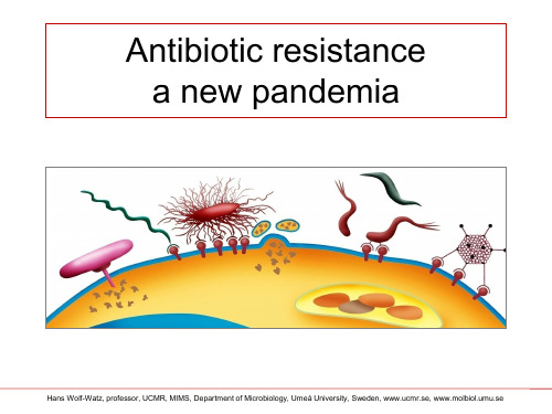 --抗生素PPT课件(英文精品)Antibiotic resistancea new 