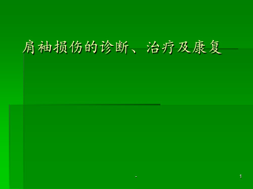 肩袖损伤ppt课件