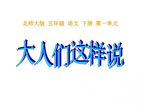 大人们这样说课件