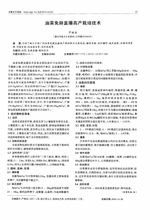 油菜免耕直播高产栽培技术