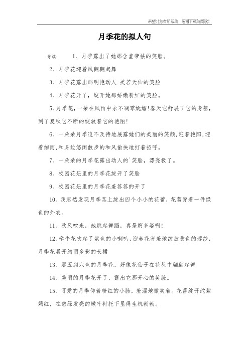 月季花的拟人句_1