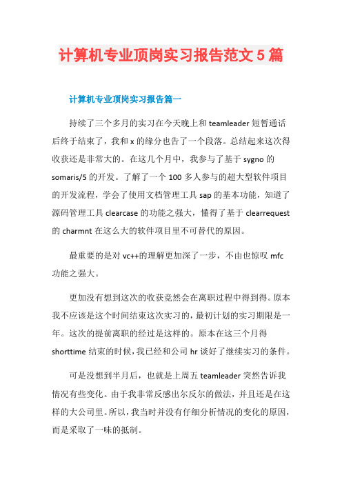 计算机专业顶岗实习报告范文5篇