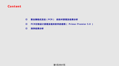 引物设计及测序结果分析精PPT课件