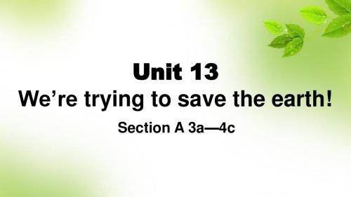 人教新目标九年级英语 Unit 13 第二课时教学课件