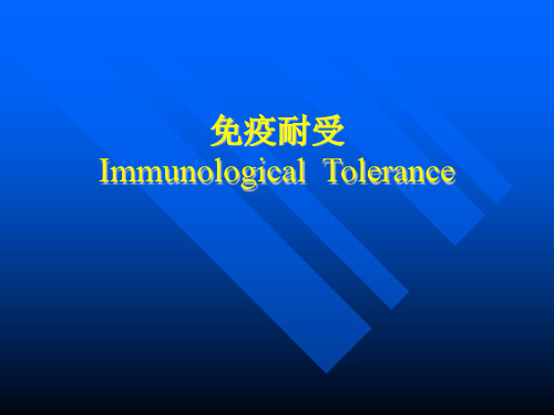 免疫耐受 PPT课件