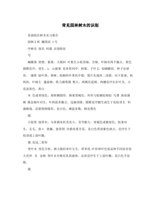 常见园林树木的识别