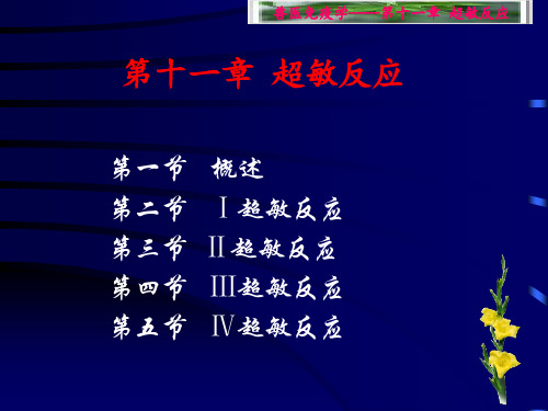 第十一章  超敏反应(兽医免疫学)