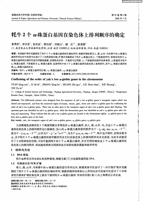 牦牛2个α-珠蛋白基因在染色体上排列顺序的确定