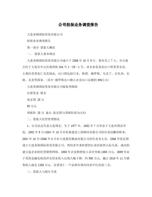 公司担保业务调查报告