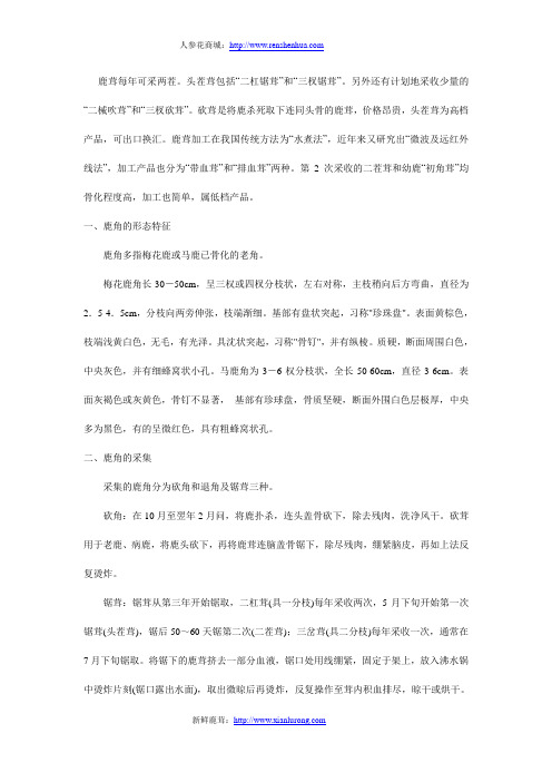 带你了解鹿茸的采集及制作